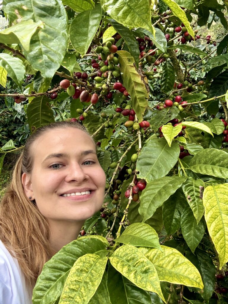 a woman selfie with a coffee tree with riped cherries