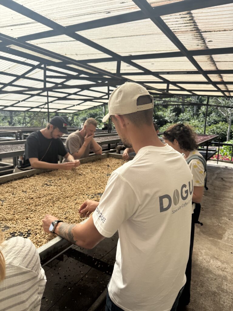people next to african drying bed for coffee