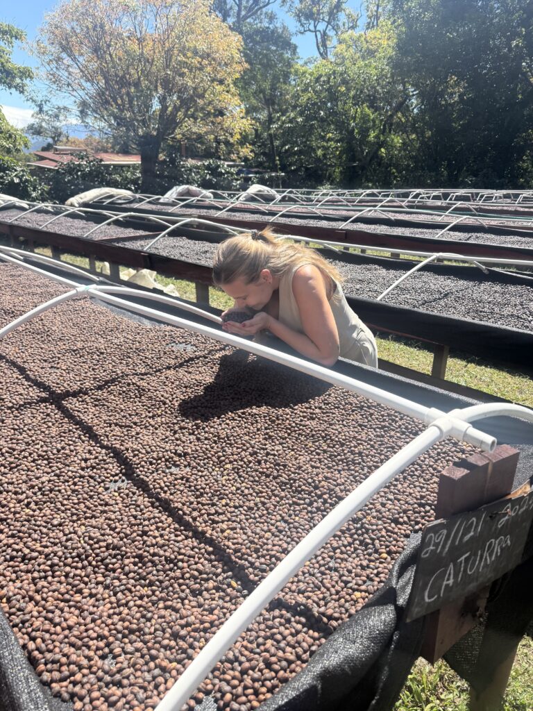 Woman smelling coffee drying on african bed