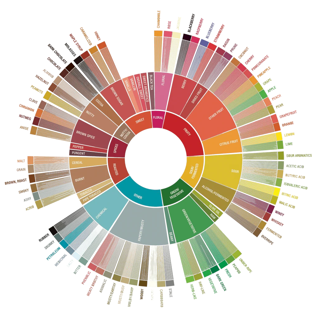 scaa flavour wheel