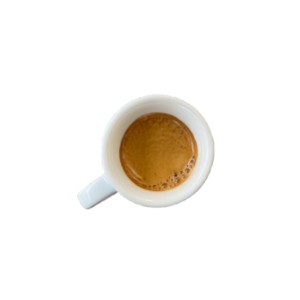 Espressology course