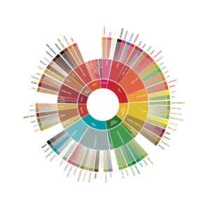 Specialty Coffee Tasting Experience by DOGUE