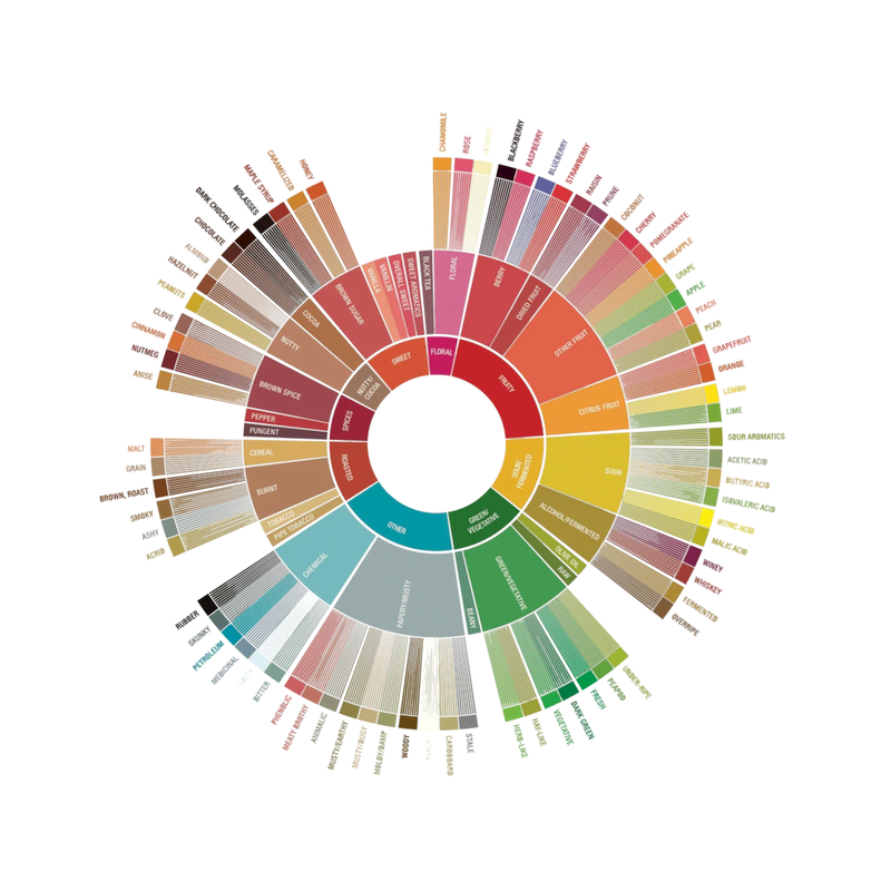 Specialty Coffee Tasting Experience by DOGUE