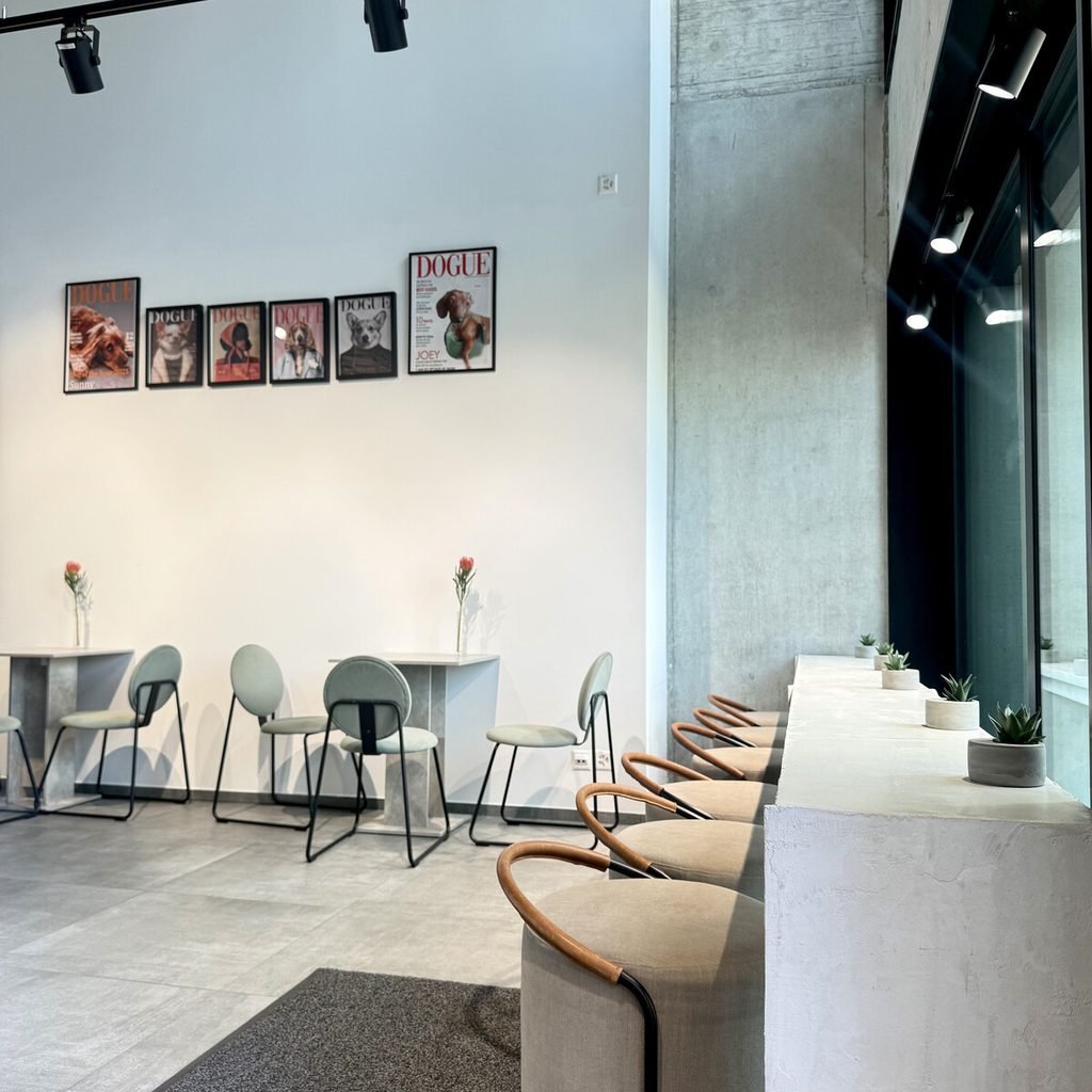 DOGUE coffee studio seating 